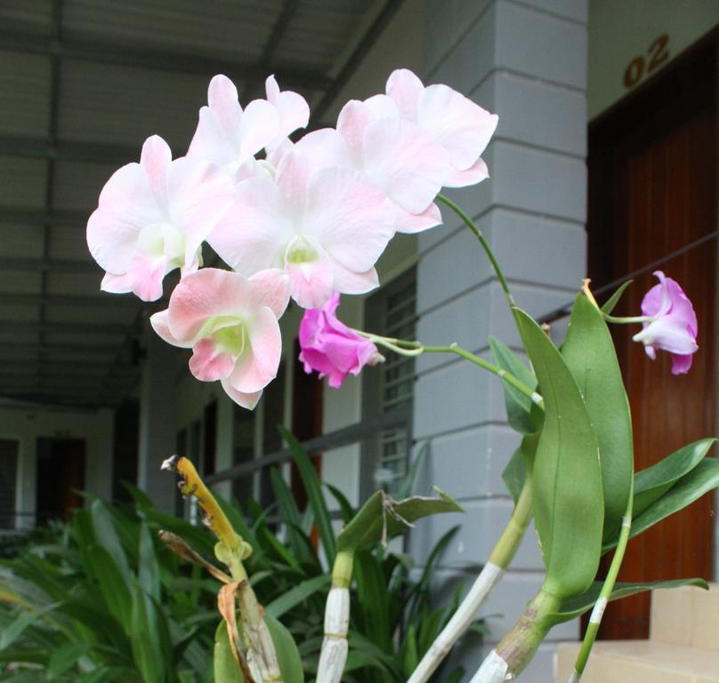 My Parents Guesthouse Kampot Esterno foto