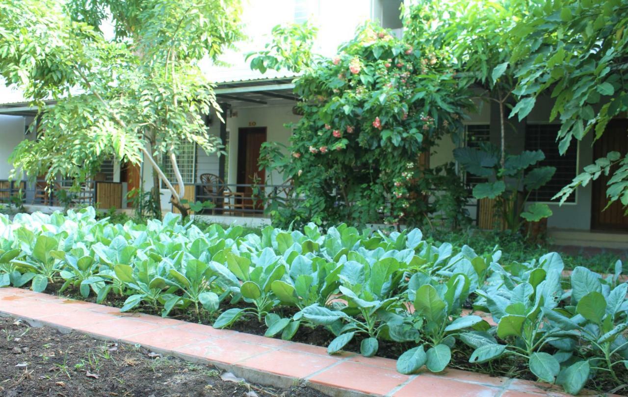 My Parents Guesthouse Kampot Esterno foto