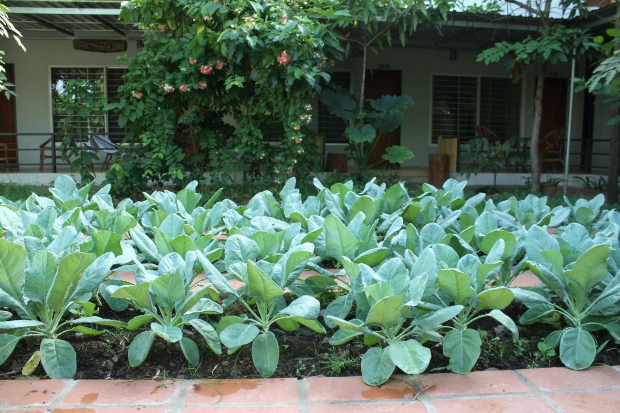 My Parents Guesthouse Kampot Esterno foto