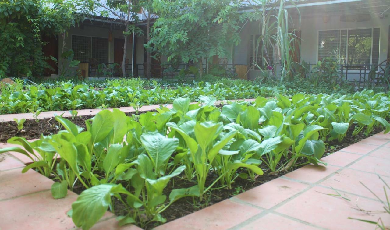 My Parents Guesthouse Kampot Esterno foto