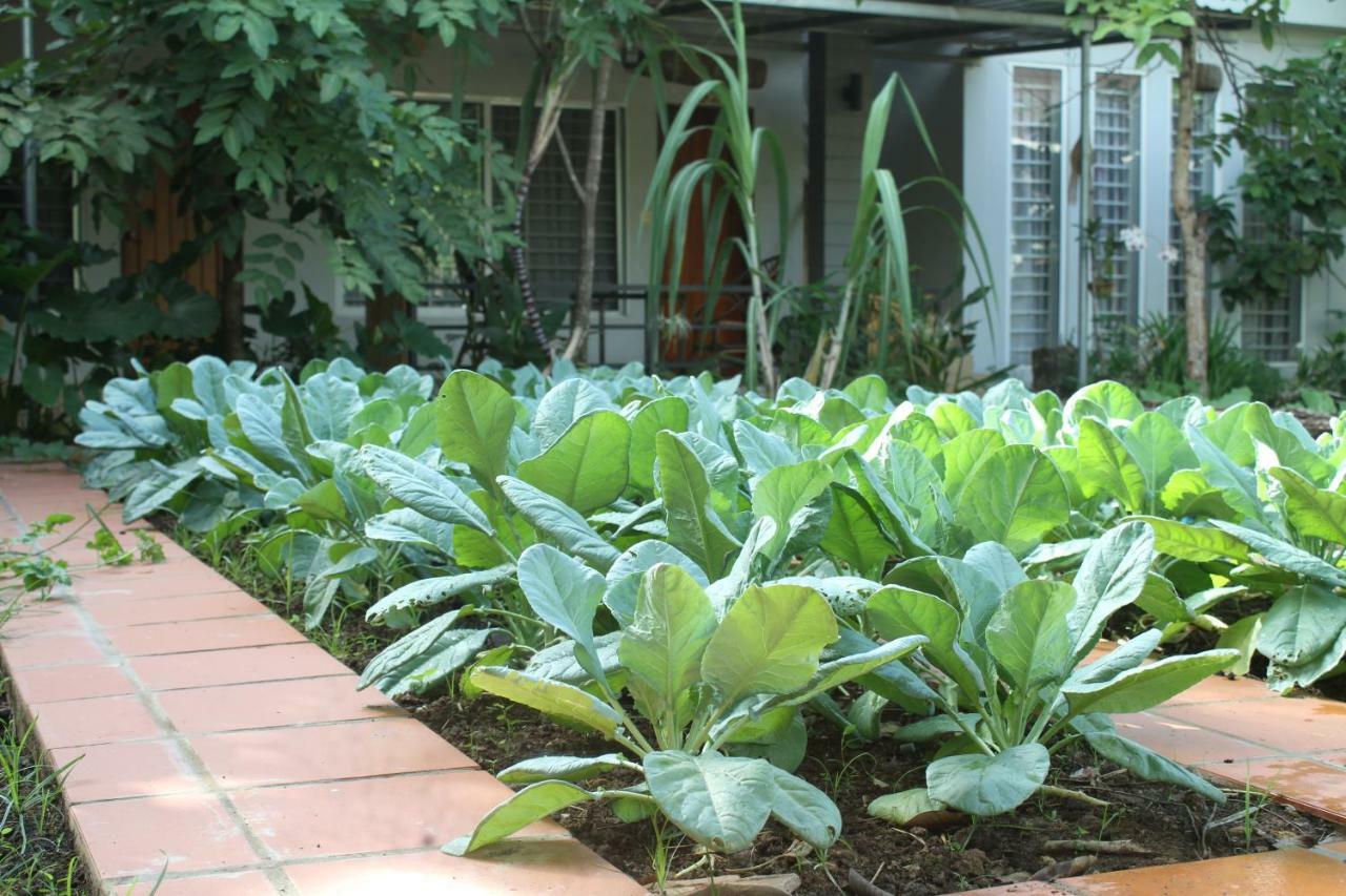 My Parents Guesthouse Kampot Esterno foto