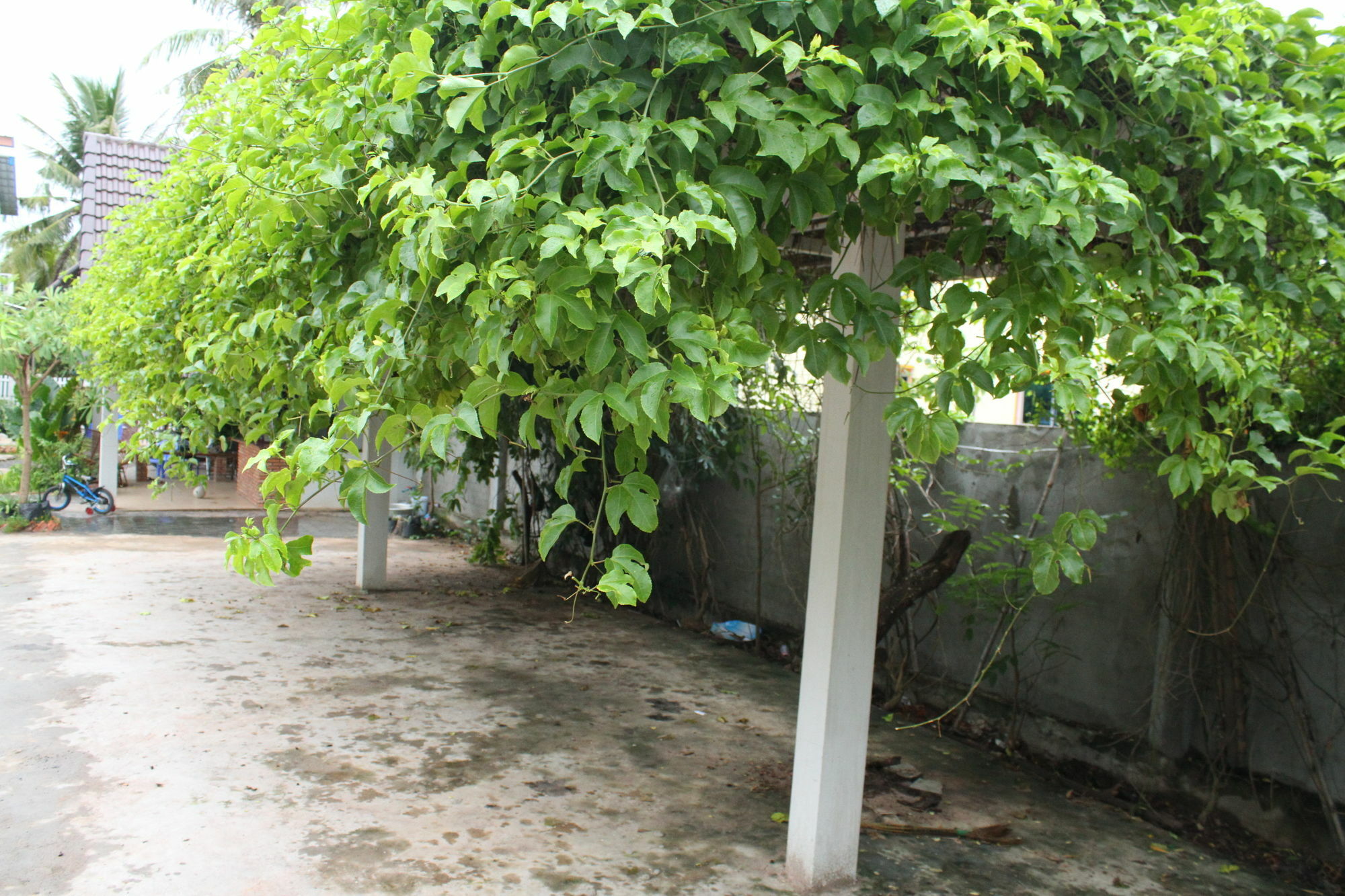 My Parents Guesthouse Kampot Esterno foto